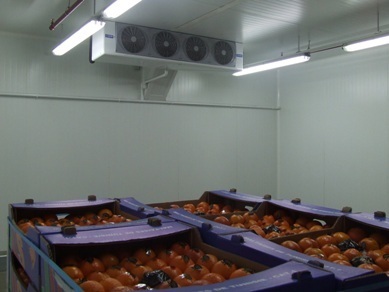 Fruit warehouse - RONGIS Covered Market - Paris, France - FHC 30 unit cooler with 4 fans