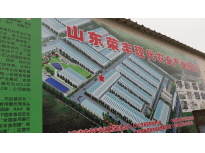 Shandong Rongfeng Edible Mushroom co., ltd 
(hereinafter as Rongfeng) is a hi-tech enterprise specializing in edible
 mushroom industry with full strain of research and development.<br> Cultivation, Processing and Sales.<br><br>
 A staff of 600 people and 4 billion general assets. The factory, which 
occupied more than 400 thousand square meters to supply large production
 capability, can produce the &nbsp;impressive quantity 150 tons of mushrooms 
each day. The main factory is in the Shangdong Region (northwest China) 
at about 100 km from Jinan. <br><br> Rongfeng has the most advanced 
process line in China, which had realized total automation from the 
beginning to last procedure. The state of art process line provides the 
best temperature, humidity, and ventilation with the installation of 
light industrial LU-VE evaporator range F45H, F50HC and CD 45 double 
flow range, for a total of 687 unit coolers with set of 114 screw 
compressors (3,8 Mw) &nbsp;and also provides a guarantee for quality and 
safety. The company has passed ISO/HACCP, and Organic products 
certification. <br><br> Based on the most advanced process line, modern 
management system, and the best human resource in China, this company 
has become the biggest production base of Hypsizigus marmoreus. 
(Including white beech mushroom, brown beech mushroom). Rongfeng was 
awarded “National excellent leading company of Edible Fungus industry” 
“Agricultural industrialization focus leading company” and so on.