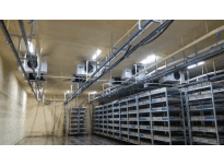 Shandong Rongfeng Edible Mushroom co., ltd 
(hereinafter as Rongfeng) is a hi-tech enterprise specializing in edible
 mushroom industry with full strain of research and development.<br> Cultivation, Processing and Sales.<br><br>
 A staff of 600 people and 4 billion general assets. The factory, which 
occupied more than 400 thousand square meters to supply large production
 capability, can produce the &nbsp;impressive quantity 150 tons of mushrooms 
each day. The main factory is in the Shangdong Region (northwest China) 
at about 100 km from Jinan. <br><br> Rongfeng has the most advanced 
process line in China, which had realized total automation from the 
beginning to last procedure. The state of art process line provides the 
best temperature, humidity, and ventilation with the installation of 
light industrial LU-VE evaporator range F45H, F50HC and CD 45 double 
flow range, for a total of 687 unit coolers with set of 114 screw 
compressors (3,8 Mw) &nbsp;and also provides a guarantee for quality and 
safety. The company has passed ISO/HACCP, and Organic products 
certification. <br><br> Based on the most advanced process line, modern 
management system, and the best human resource in China, this company 
has become the biggest production base of Hypsizigus marmoreus. 
(Including white beech mushroom, brown beech mushroom). Rongfeng was 
awarded “National excellent leading company of Edible Fungus industry” 
“Agricultural industrialization focus leading company” and so on.