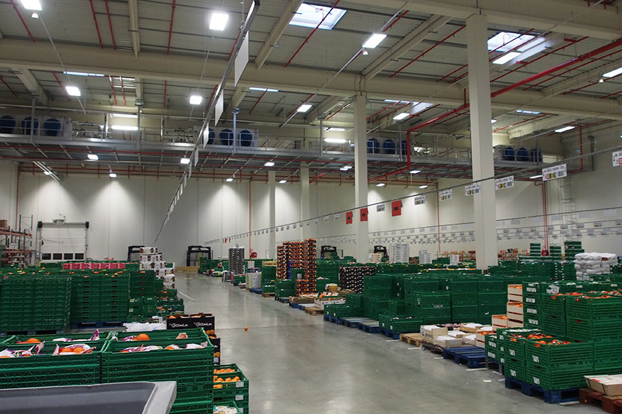 Industrial refrigeration, apples, PDF industrial unit coolers, Italy