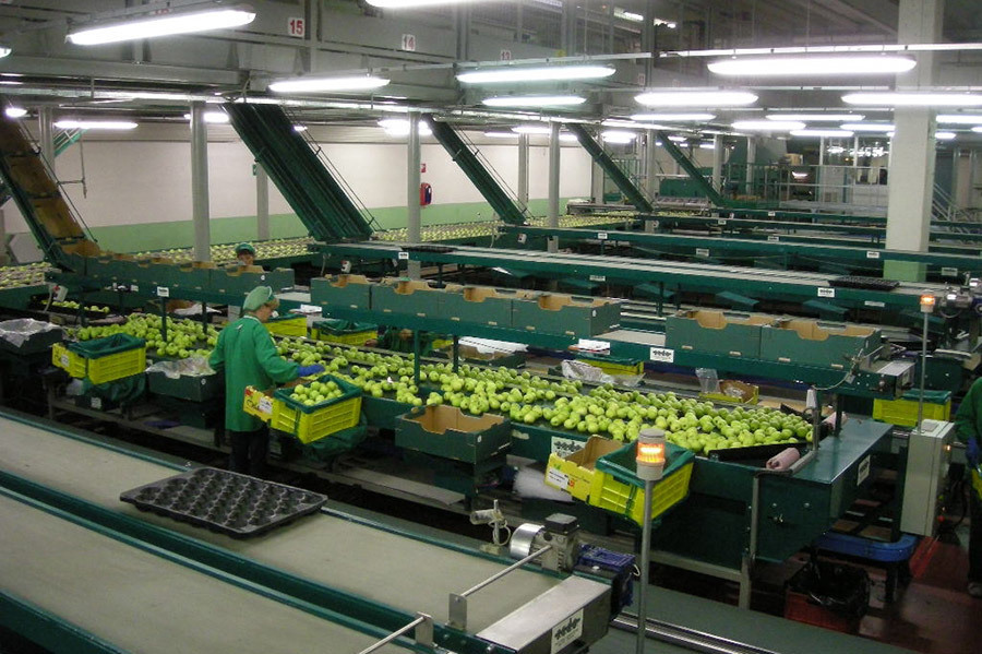 Industrial refrigeration, apples, PDF industrial unit coolers, Italy