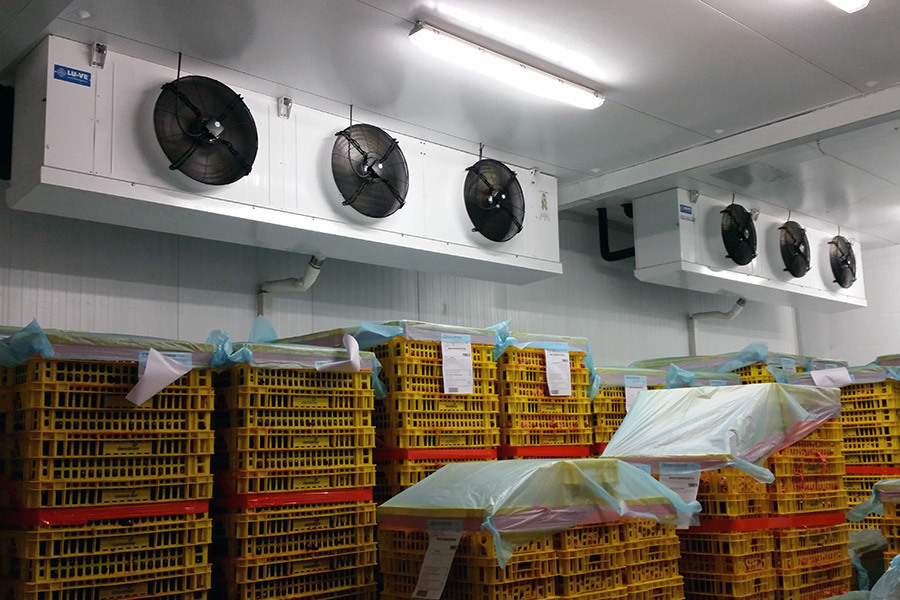 CHS industrial unit cooler installation, Costa Brava, Spain
