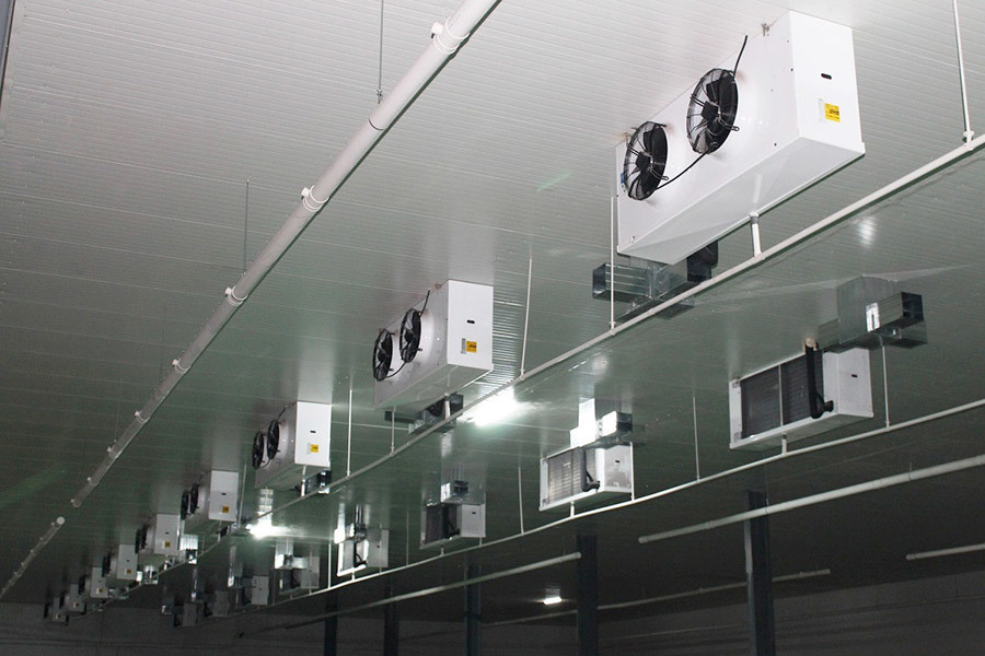 Shandong Rongfeng Edible Mushroom co., ltd (hereinafter as Rongfeng) is a hi-tech enterprise specializing in edible mushroom industry with full strain of research and development.