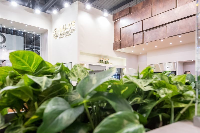 Host 2017