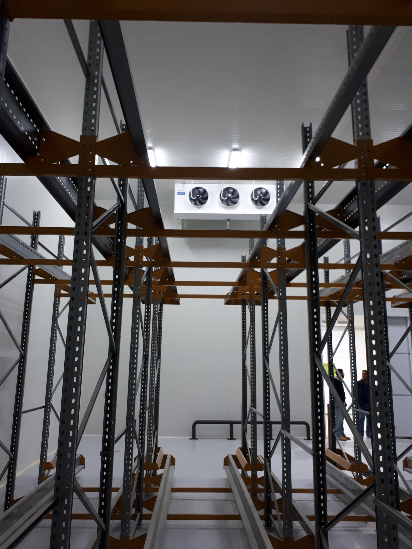 Project name: Cold store and packaging facility for agri product in Cairo<br/>
Refrigeration contractor: MOG for Engineering and Industry, 10th of Ramadan Industrial City, Egypt<br/>
Execution 2018<br/>
Application: facility for collection, precooling, packaging and storage of various fruits and vegetables (lemon, oranges, strawberry, peas, pomegranate etc.). This project is part of a larger plan to develop the agricultural industry of Egypt, by boosting the facilities to serve the export market (Mainly northern Europe and Russia). Currently two additional cold store are under installation and commissioning.<br/>
Cooling system description:<br/>
- Chilled receiving area: LU-VE Dual Discharge 3# CD50H 9452 N 6 - 23,7kW  (16C_85%_EV5) R407c<br/>
- 2 precooling rooms: LU-VE Cubic 4# CS71H 4416 E 10 - 67,3kW (0C_85%_EV-5C) R404a<br/>
- Production and packaging hall: LU-VE Dual Discharge 12# CD50H 9456 N 6 - 69,9kW  (18C_85%_EV5) R407c<br/>
- 6 receiving rooms: LU-VE Cubic 6# CS62H 2218 N 6 - 140,8kW (15C_85%_EV5) R407c<br/>
- 6 cold stores: LU-VE Cubic 12# F50HC 1714 E 6 - 31,2kW (0C_85%_EV-5C) R404a<br/>
- Shipping area: LU-VE Dual Discharge 5# CD50H 9452 N 6 -  23,7kW  (16C_85%_EV5) R404a<br/>
Rack System:<br/>
- 4# Emerson 200HP Rack for MT application R407c – 4# LU-VE Condensers EHV90F 374 H 8VENT (2X4)<br/>
- 2# Emerson 180HP Rack for LT application R404a – 2# LU-VE Condensers EAV8S 7231 H 6VENT (2X3)<br/>
- 1# Emerson 200HP Rack for LT application R404a – 1# LU-VE Condensers EHV90F 368 H 6VENT (2X3)