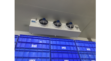 APEX FROZEN FOOD – KAKINADA ANDHRA PRADESH<br>
CS45W 1114 N 4 F x 6 Pcs + CS45W 1106 N 4 E x 5 pcs + CS45W 1102 N 4 C x 5 pcs + CS45W 1100N 4 C x 15 pcs. (Heresite Coating + IP66 Mot + Fiber Fan Blade + Filter + Cabling).