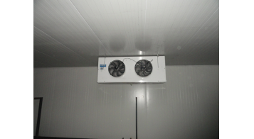 CHEEMA FROZEN FOODS – KASHIPUR UTTAR PRADESH<br>
LS50A 5806 E 7 x 12 pcs.