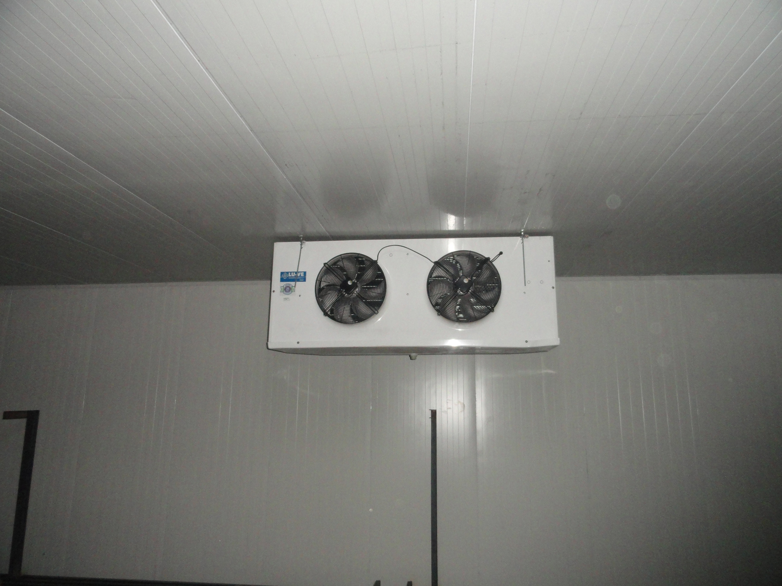 CHEEMA FROZEN FOODS – KASHIPUR UTTAR PRADESH<br>
LS50A 5806 E 7 x 12 pcs.