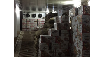 GK AGRO Cold store – KUNDLI HARYANA<br>
F62HC 2312 N 7 x 8 pcs.
