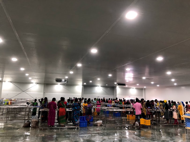 B1- MEGAFOOD PARK – DERAS ODISHA<br>
SDHN x 20 pcs.