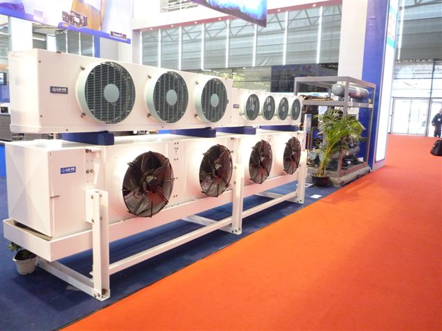 Shanghai Century Stand
